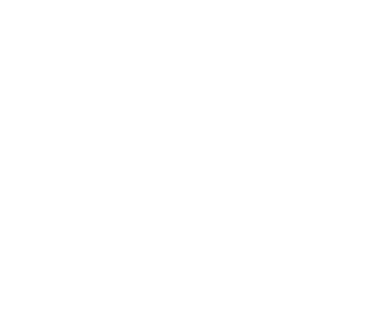 Dante Tires