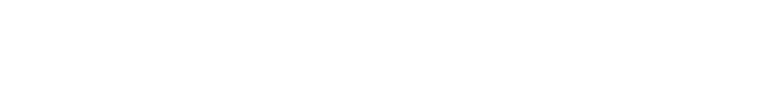 Fiat Euronoa