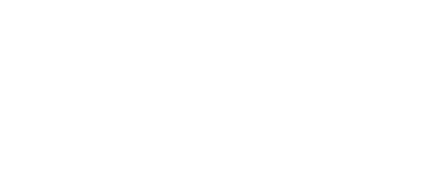 Nissan Fiani